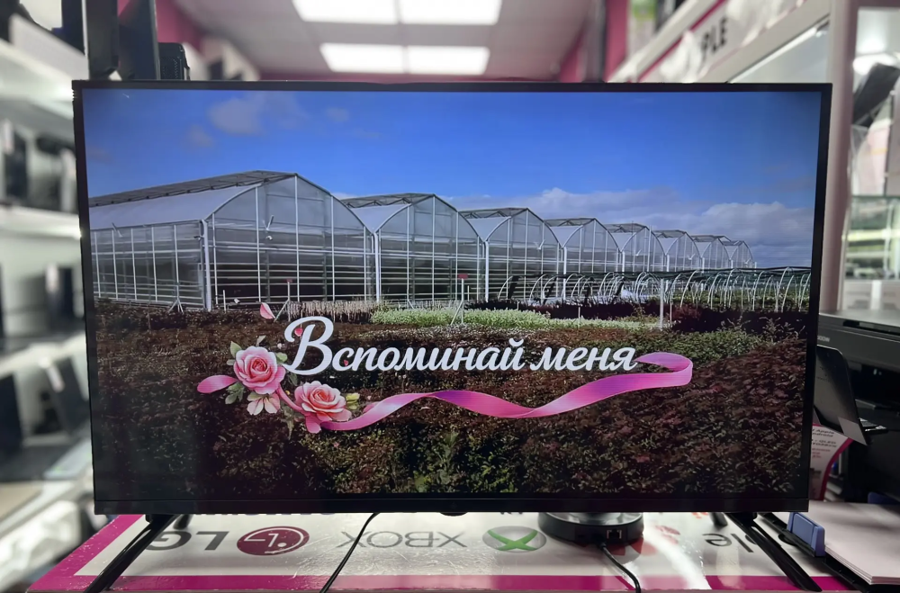 Телевизор Dexp 32FCY2 32" Smart